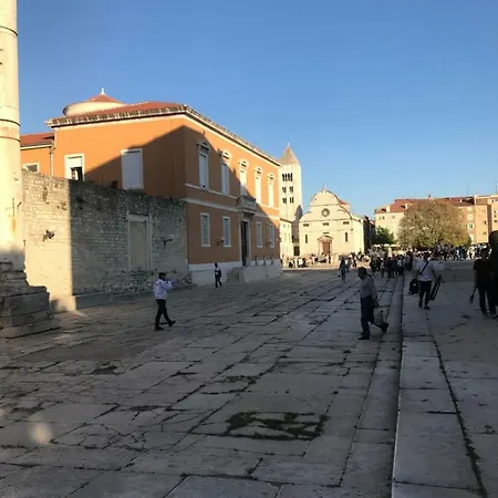 Lidija * זאדאר