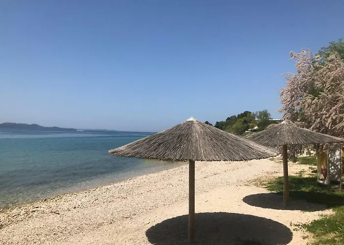 Lidija * Ζαντάρ